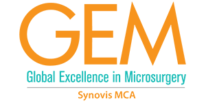 GEM Logo BRAs of the Bay