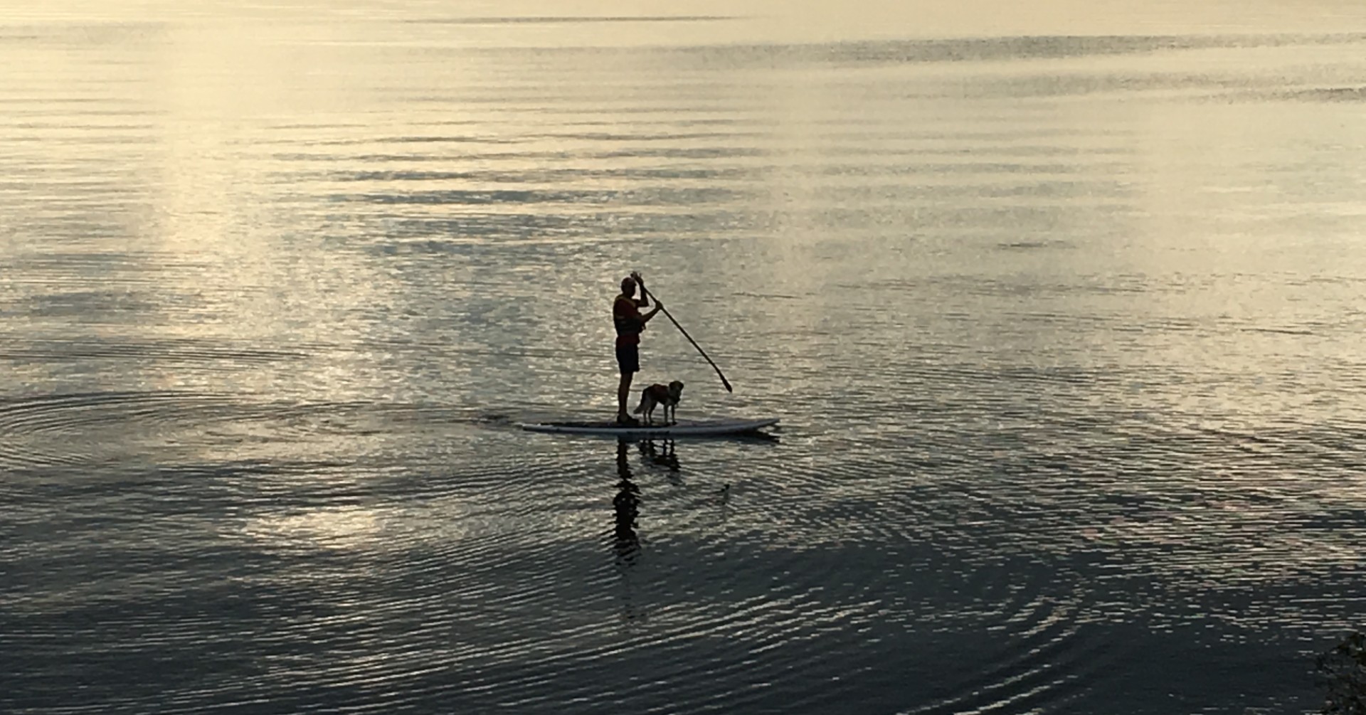 Dr. Joel Wood on a paddleboard