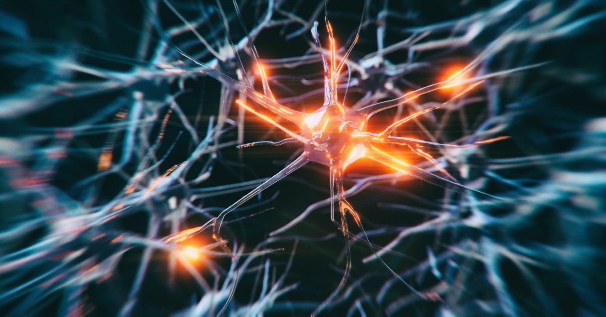Illustration of neurons, with bright red/orange highlight to suggest pain.